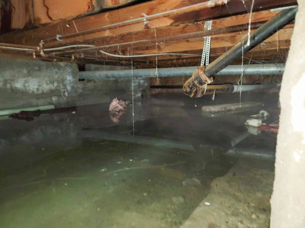 Best Flood restoration services  in Kenhorst, PA