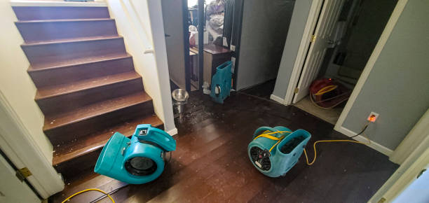 Best Professional water damage repair  in Kenhorst, PA
