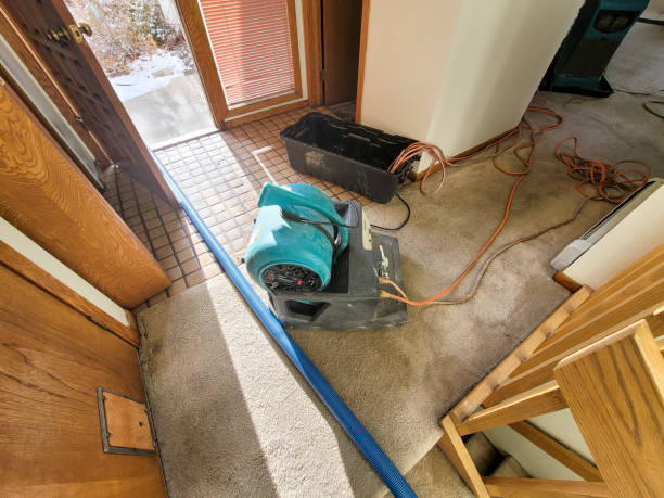 Best Water damage restoration near me  in Kenhorst, PA