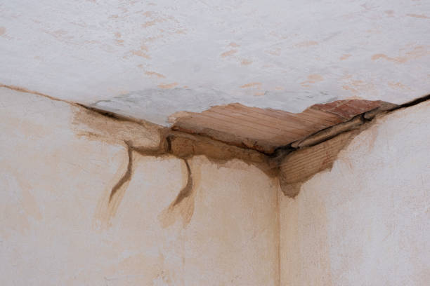 Best Local water damage restoration  in Kenhorst, PA