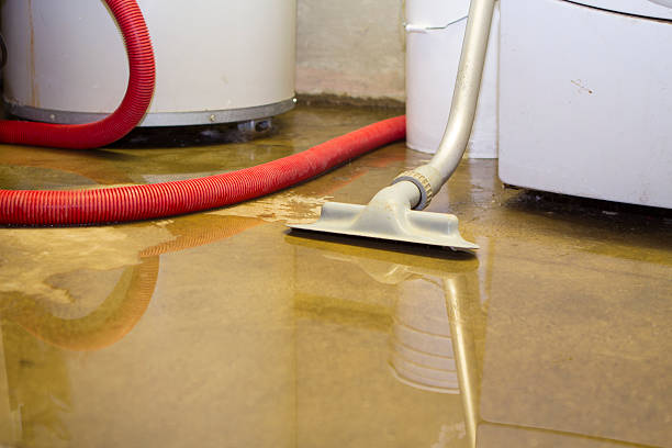 Best Water damage cleanup near me  in Kenhorst, PA